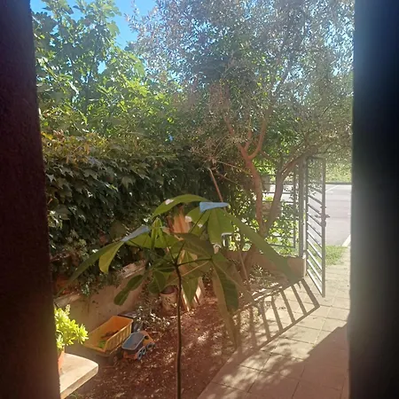 Апартаменты Bistra *